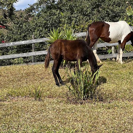 Отель Fazenda Do Engenho Santa Rita do Rio Abaixo Экстерьер фото
