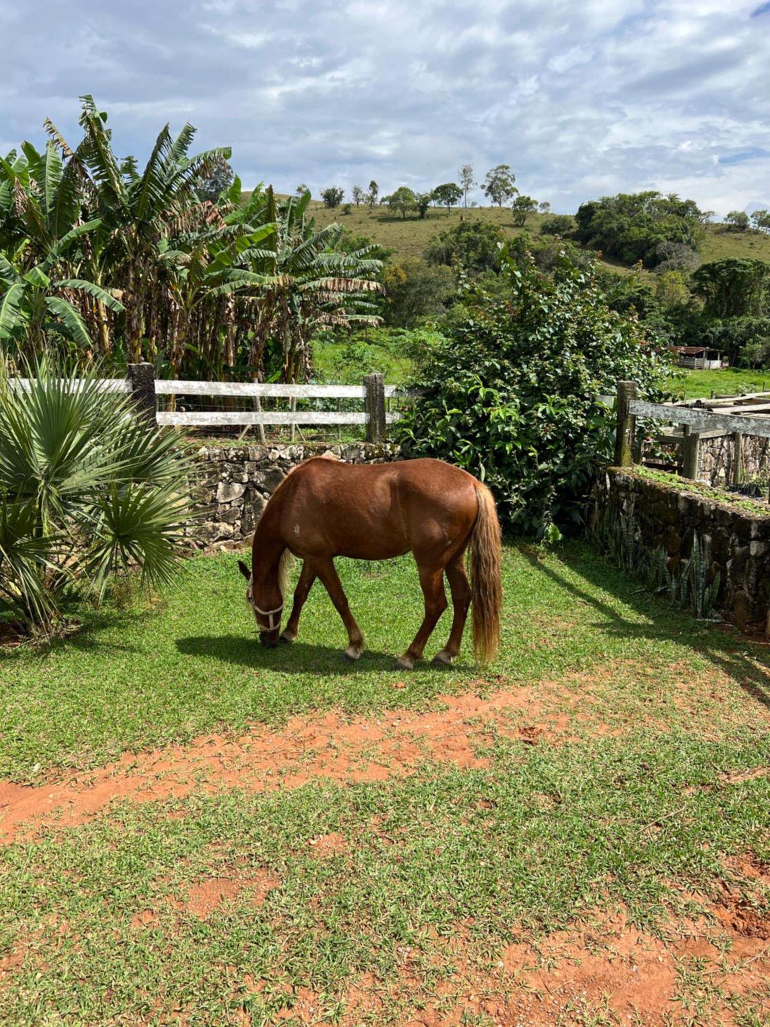 Отель Fazenda Do Engenho Santa Rita do Rio Abaixo Экстерьер фото