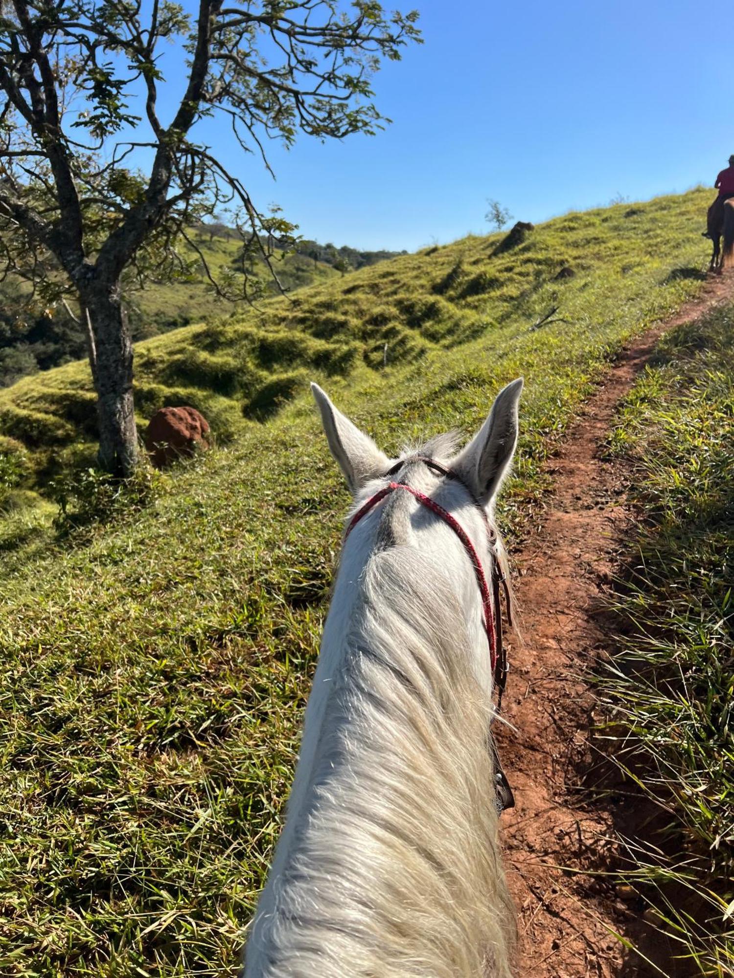 Отель Fazenda Do Engenho Santa Rita do Rio Abaixo Экстерьер фото